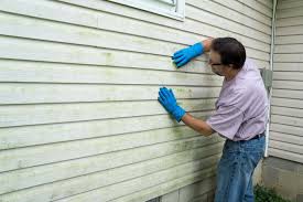 Best Insulated Siding Installation  in South Paris, ME